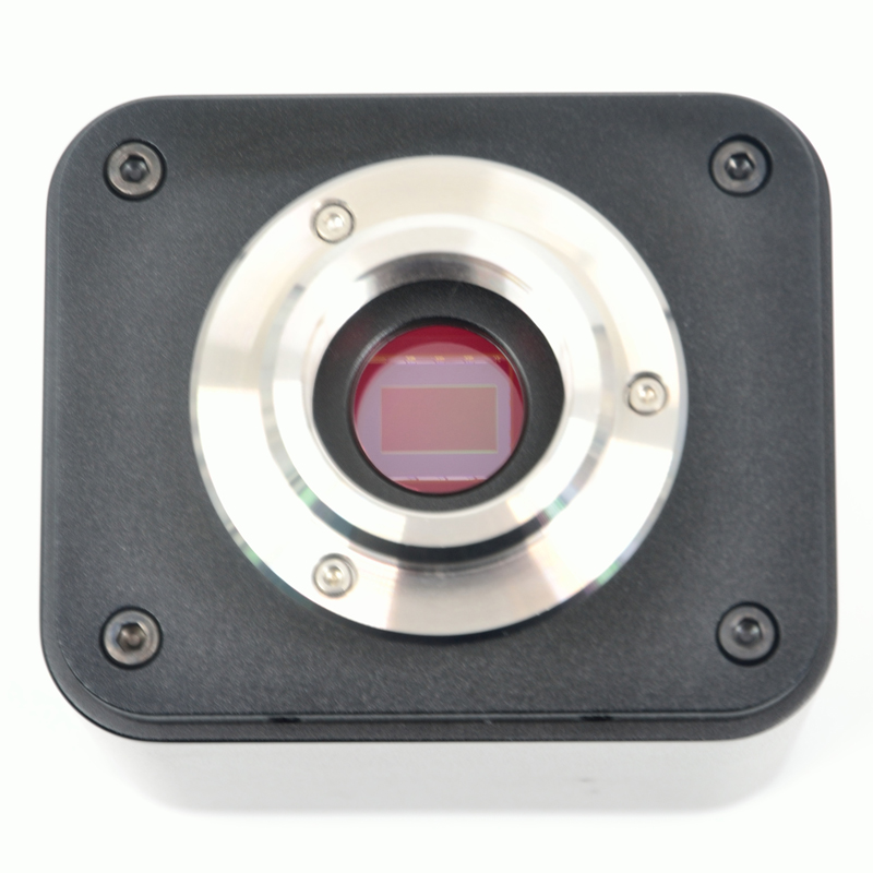 4K Microscope Camera Sony Sensor - XCAMLITE4K8MP: fotocamera per microscopio 4K Ultra